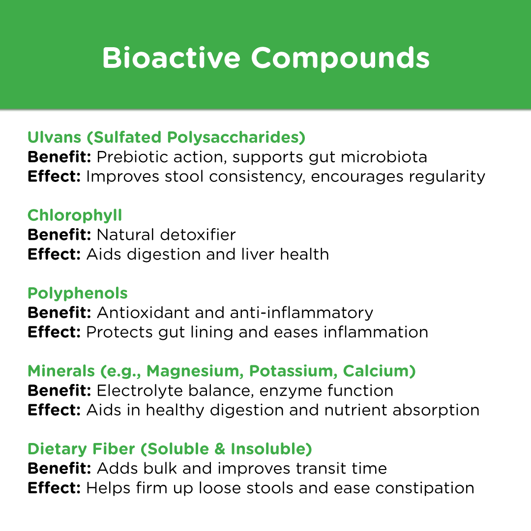 List of key bioactive compounds in Stoolrite, including ulvans, chlorophyll, polyphenols, minerals, and fiber, with their digestive benefits