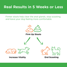 Load image into Gallery viewer, Diagram showing how firmer stools from Stoolrite can lead to more vitality and reduced scooting in dogs