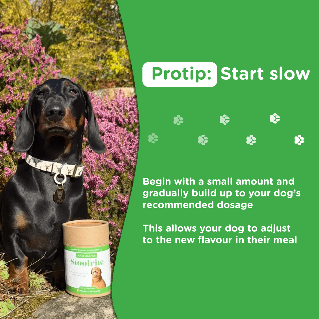 Tip to start Stoolrite with a small amount and gradually increase dosage to help dogs adjust to the new flavour