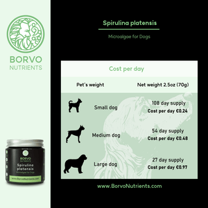 Sustainable, European-Grown Spirulina for Dogs | Borvo Nutrients - Seaweed For Dogs