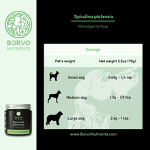 Load image into Gallery viewer, Sustainable, European-Grown Spirulina for Dogs | Borvo Nutrients - Seaweed For Dogs