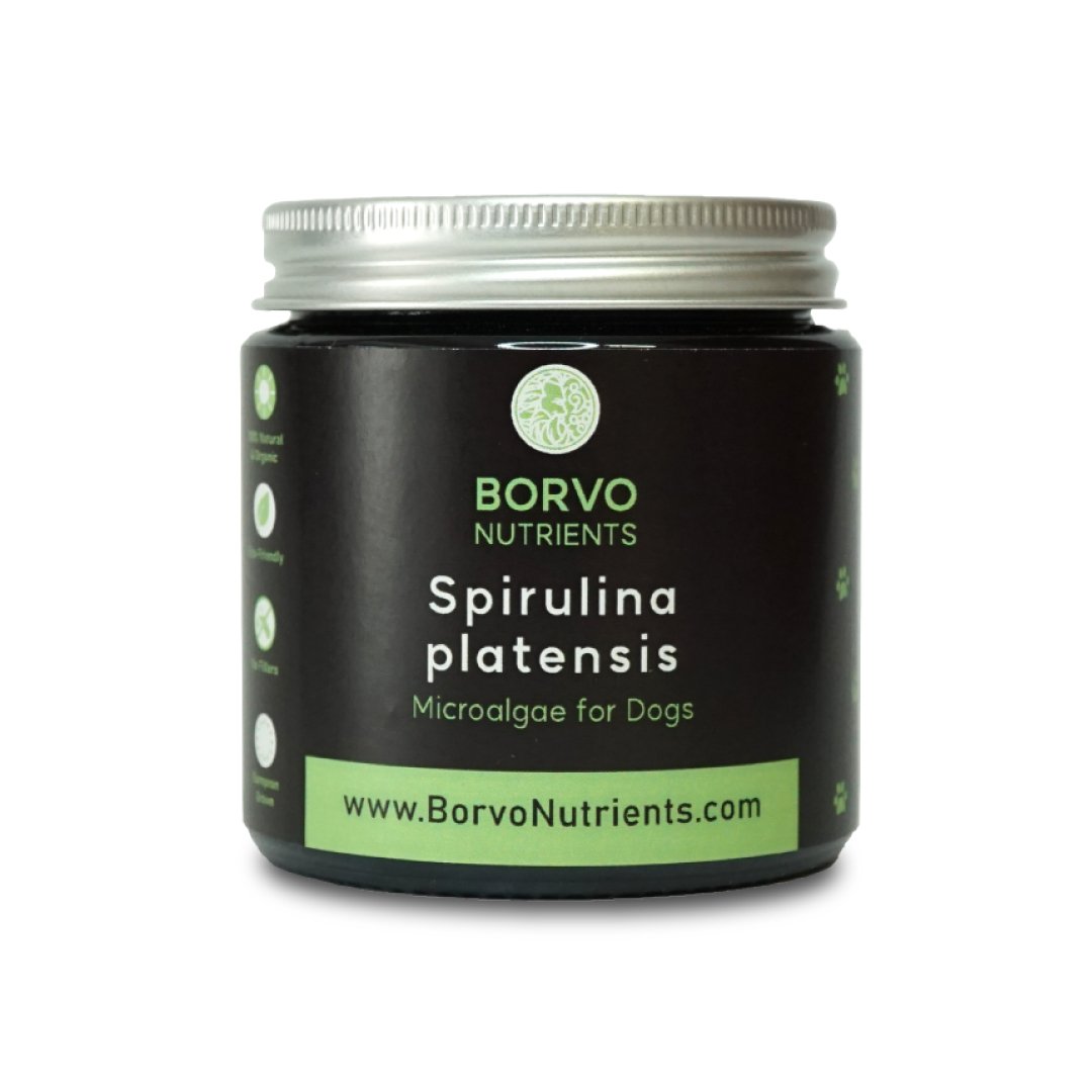 Spirulina for Dogs - Premium Quality, Sustainable Supplement