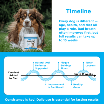 Canident Dog Dental Powder – Natural Seaweed Plaque Remover for Dogs - Seaweed For Dogs