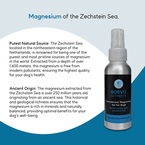 Transdermal Magnesium Oil for Dogs - Seaweed For Dogs