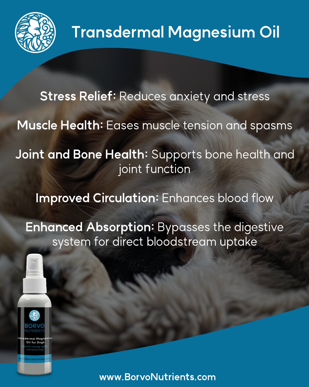 Transdermal Magnesium Oil for Dogs - Seaweed For Dogs