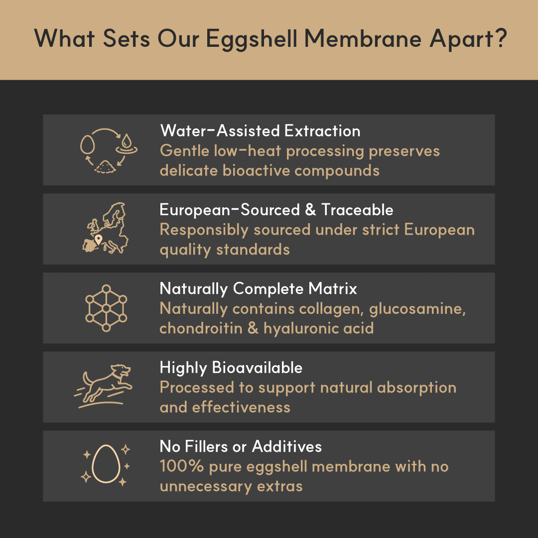 List of features that set the eggshell membrane apart on a dark background with icons.