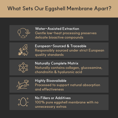 List of features that set the eggshell membrane apart on a dark background with icons.