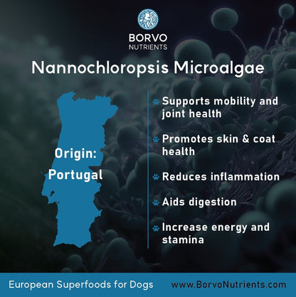Borvo Nutrients Nannochloropsis sp. — sourced from Portugal, promotes energy, stamina, and skin health
